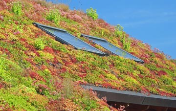 Woodgates Green living roof systems